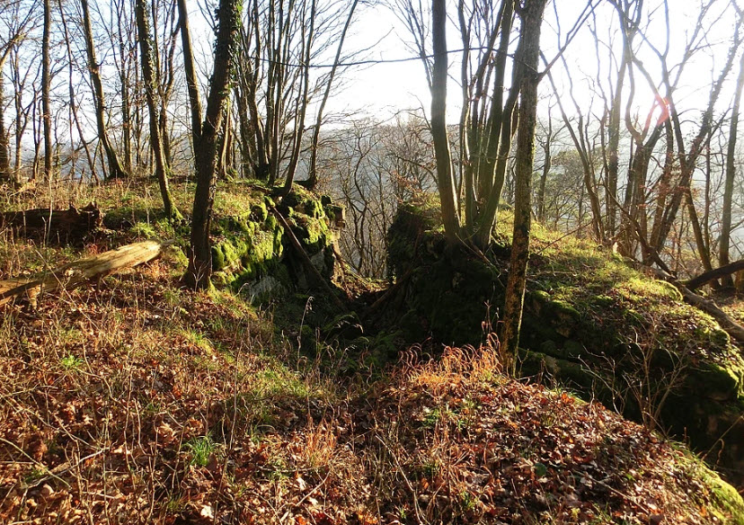 Burgruine Hopfach, Wolpertshausen, Germany, Germany